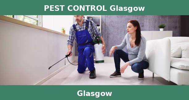 PEST CONTROL Glasgow